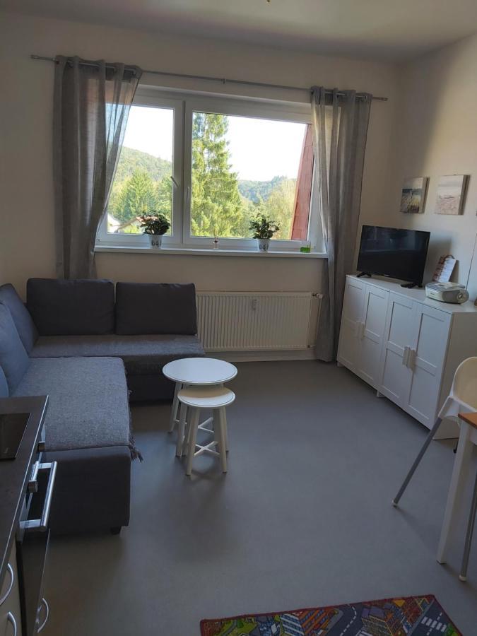 Apartmán Ždáň/Slapy Exteriér fotografie