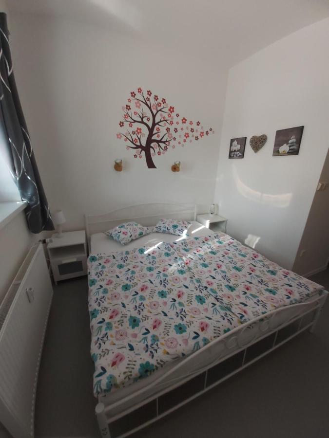 Apartmán Ždáň/Slapy Exteriér fotografie